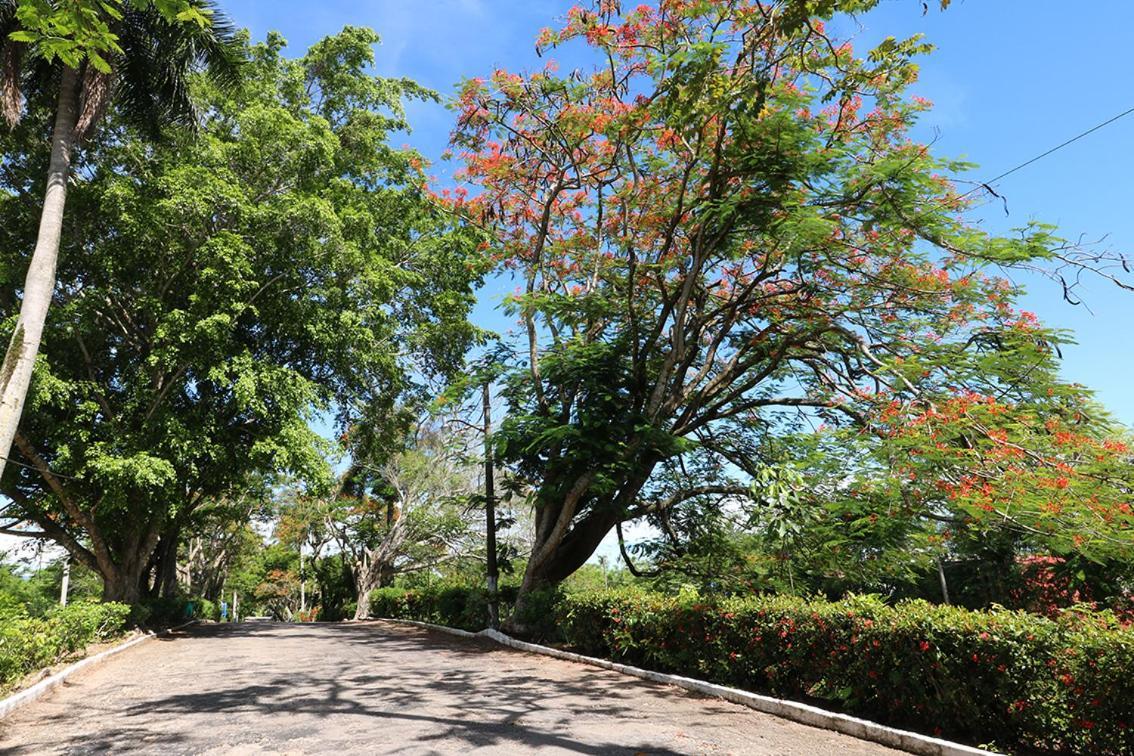 Mision Palenque Hotel Екстериор снимка