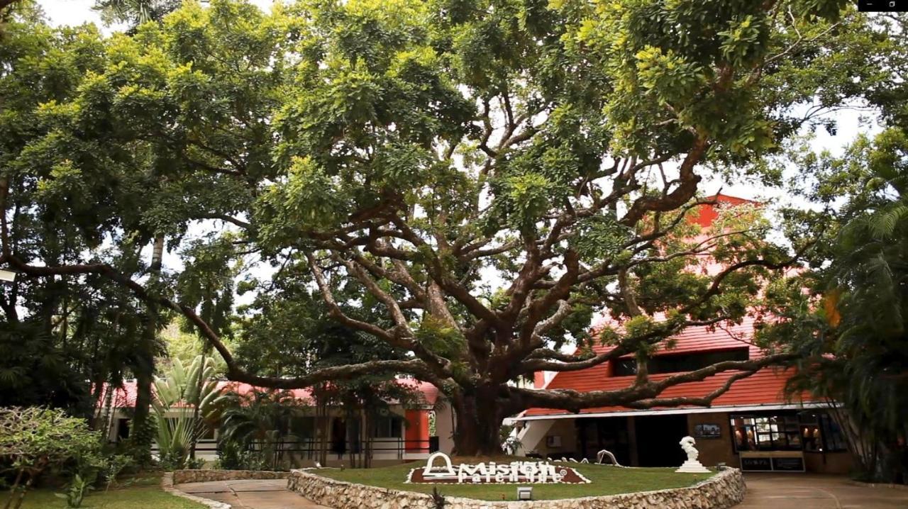 Mision Palenque Hotel Екстериор снимка