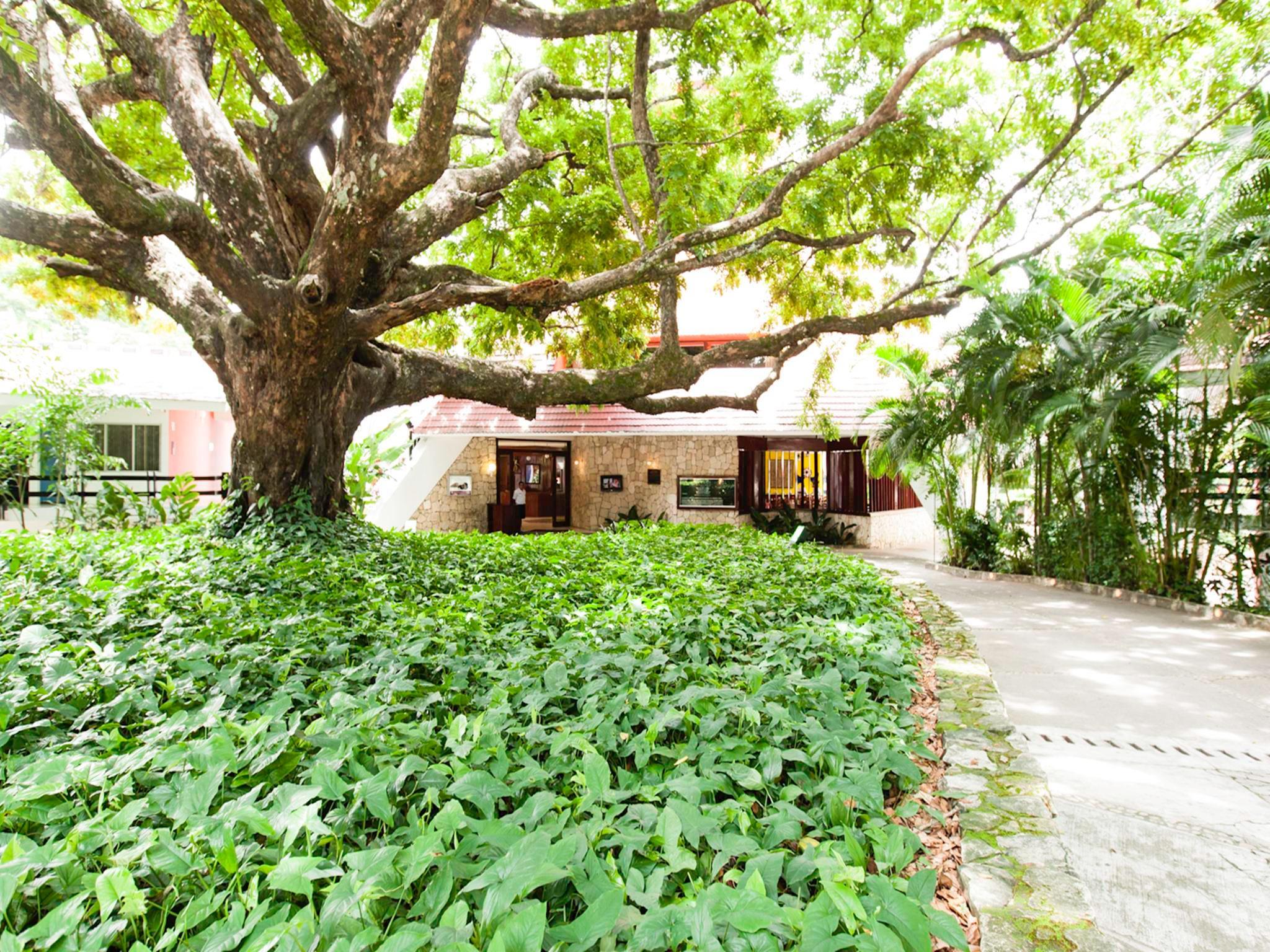 Mision Palenque Hotel Екстериор снимка